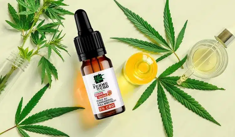 Découvrez les bienfaits surprenants de l'huile de CBD