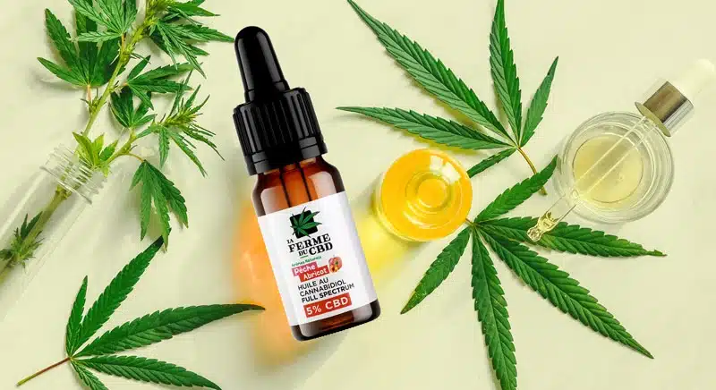 Découvrez les bienfaits surprenants de l'huile de CBD