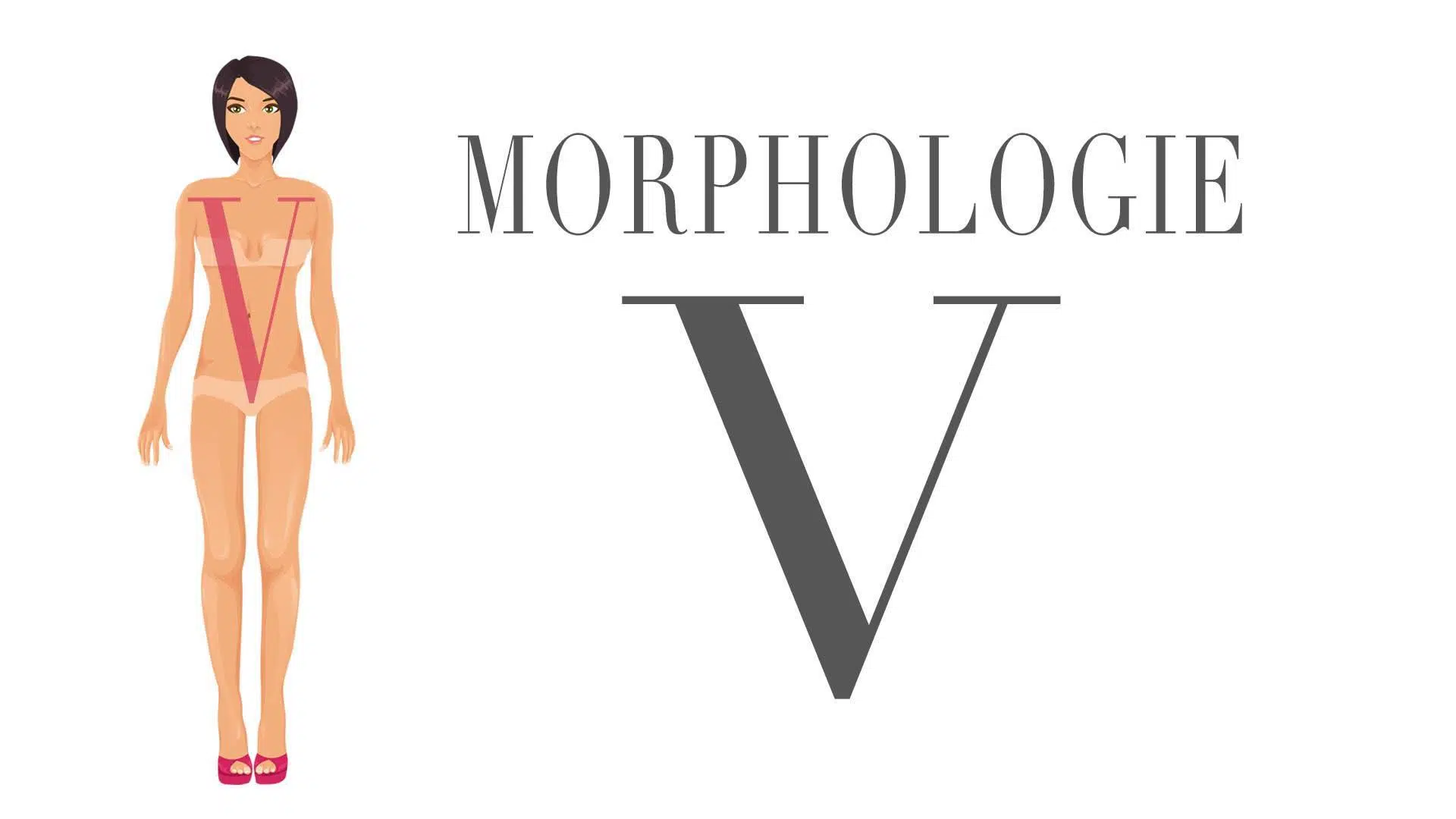 Image de la morphologie en V