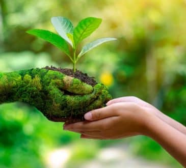 Quelle formation pour travailler dans le secteur de l’environnement