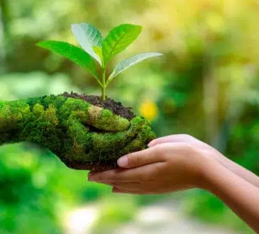 Quelle formation pour travailler dans le secteur de l’environnement