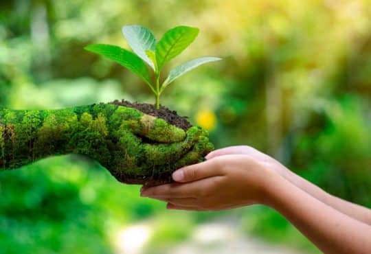 Quelle formation pour travailler dans le secteur de l’environnement