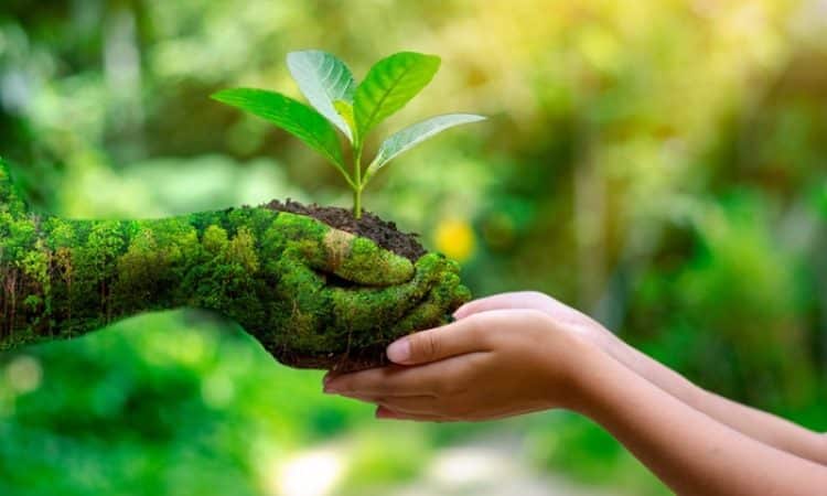 Quelle formation pour travailler dans le secteur de l’environnement