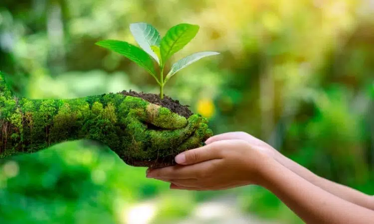 Quelle formation pour travailler dans le secteur de l’environnement