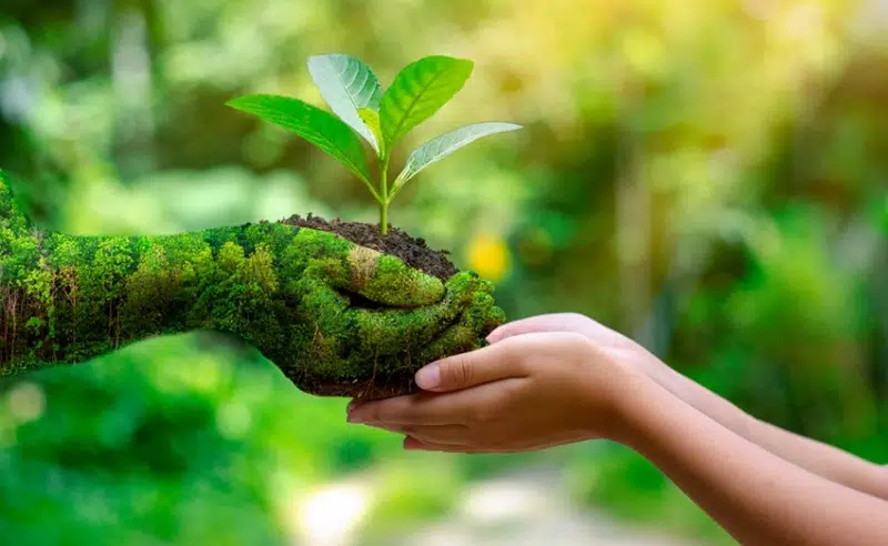 Quelle formation pour travailler dans le secteur de l’environnement