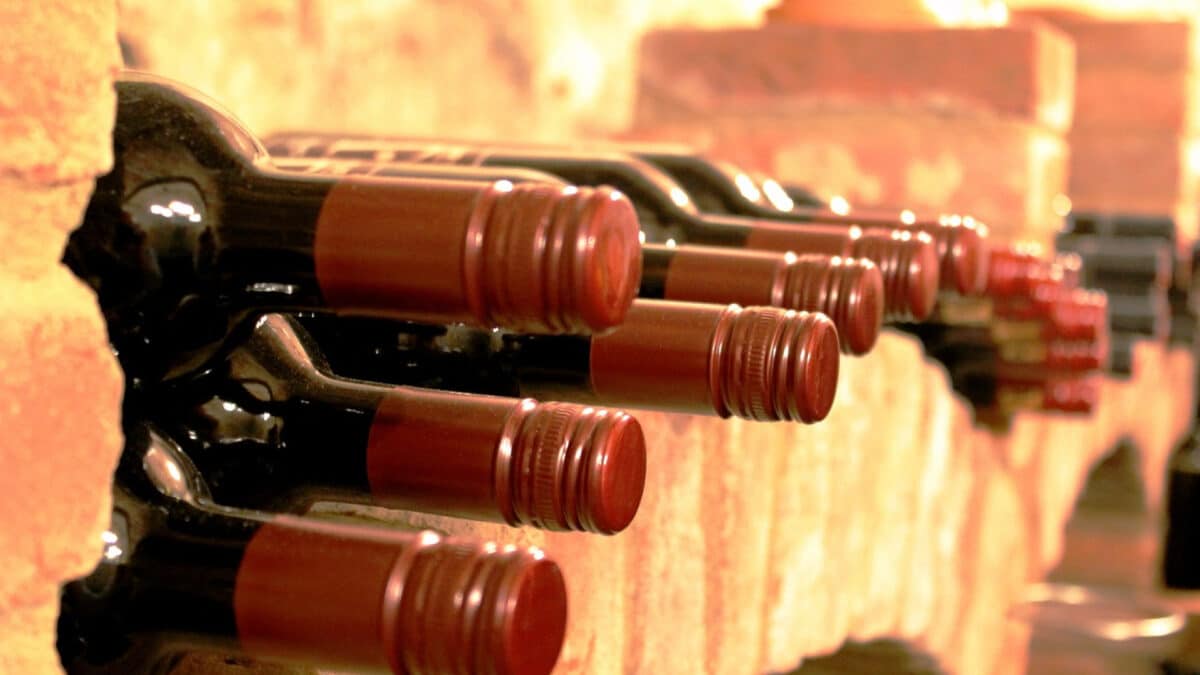 Cave à vin à Aix-en-Provence : comment bien choisir son vin ?