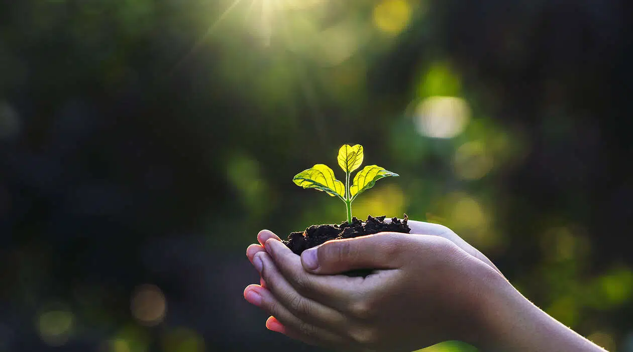 formation pour travailler dans le secteur de l’environnement