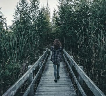 woman walking on wooden bridge between green grass during daytime