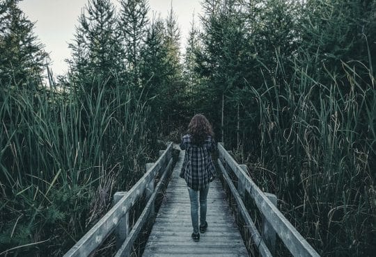 woman walking on wooden bridge between green grass during daytime