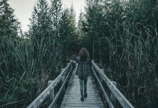 woman walking on wooden bridge between green grass during daytime
